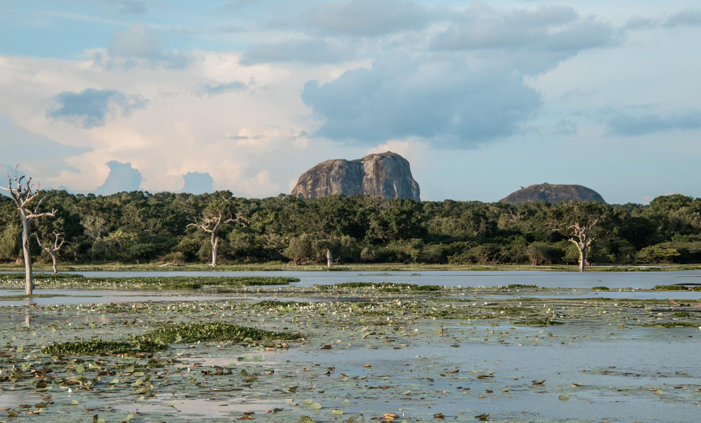 Yala National Park transitional landscape in August as wet season begins