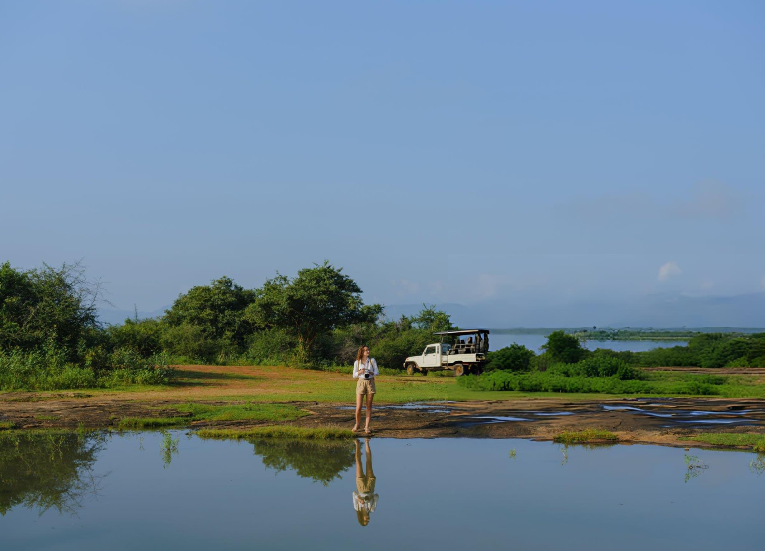 Palatupana Lagoon at Yala National Park during wet season with flamingos and migratory birds