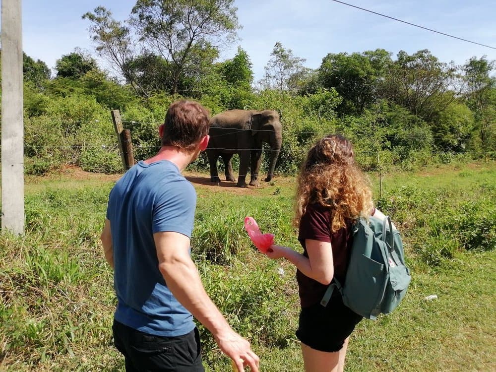 Safari jeep at safe distance from elephant family with young calf at Yala National Park Block 1