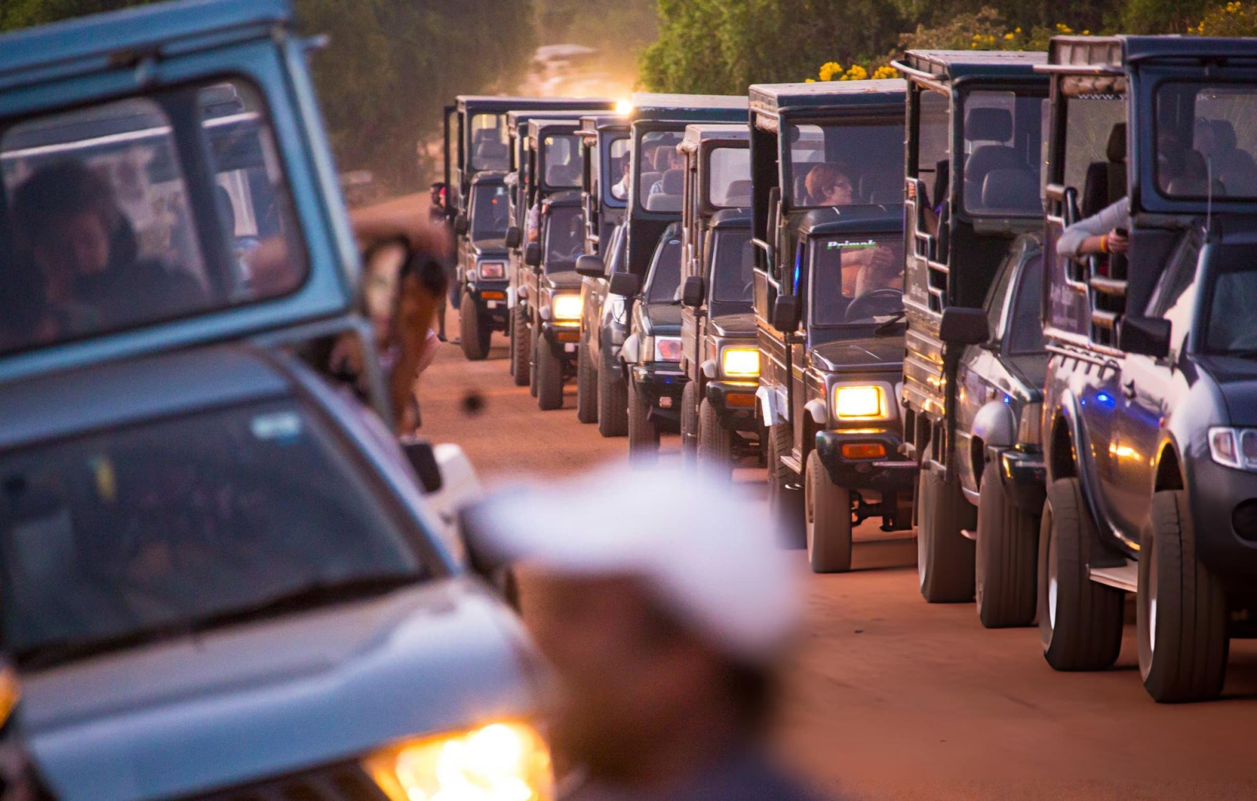 Safari jeeps lined up at Palatupana gate at dawn waiting for Yala National Park Block 1 to open for morning safaris