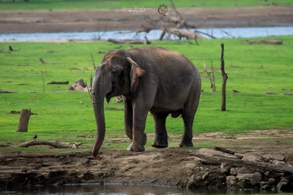 Preparation for afternoon safari session at Yala National Park with camera equipment and water ready for the golden hour drive