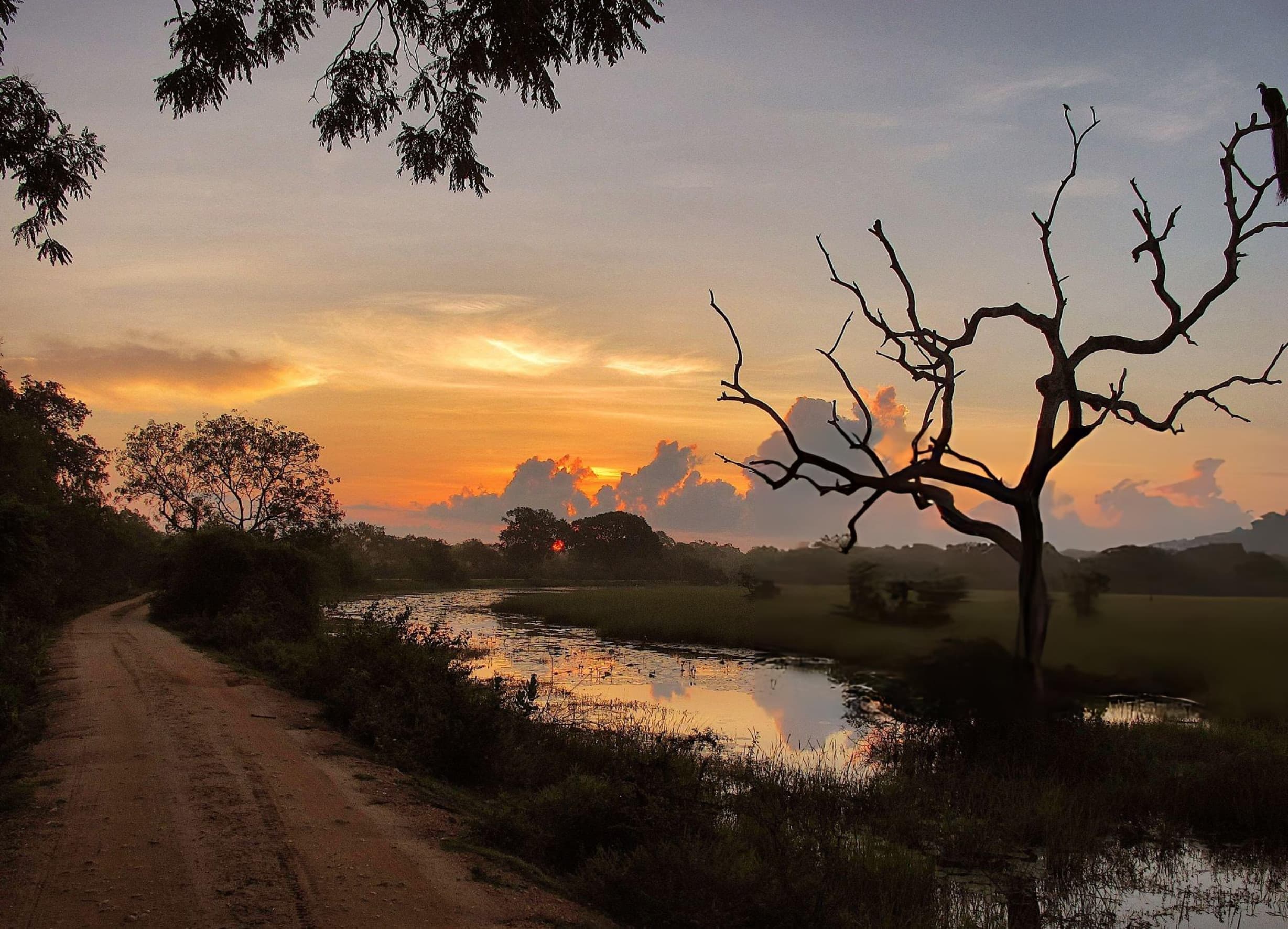 Palatupana Lagoon at sunrise with flamingos and painted storks creating spectacular photography opportunities at Yala National Park
