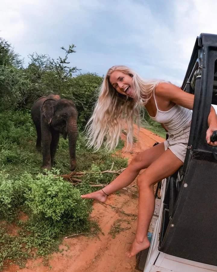 Yala Afternoon Safari Experience