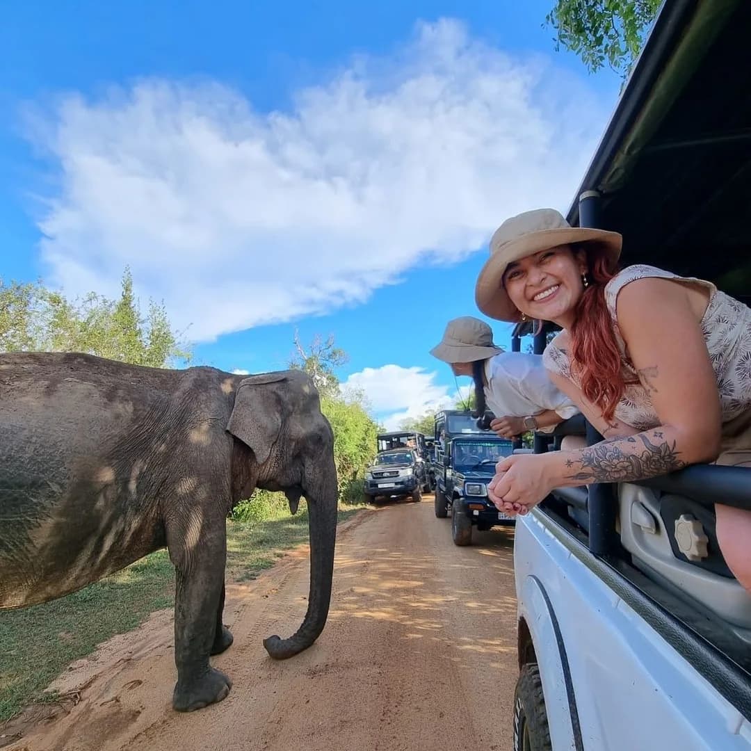 Private Yala Half Day Jeep Safari