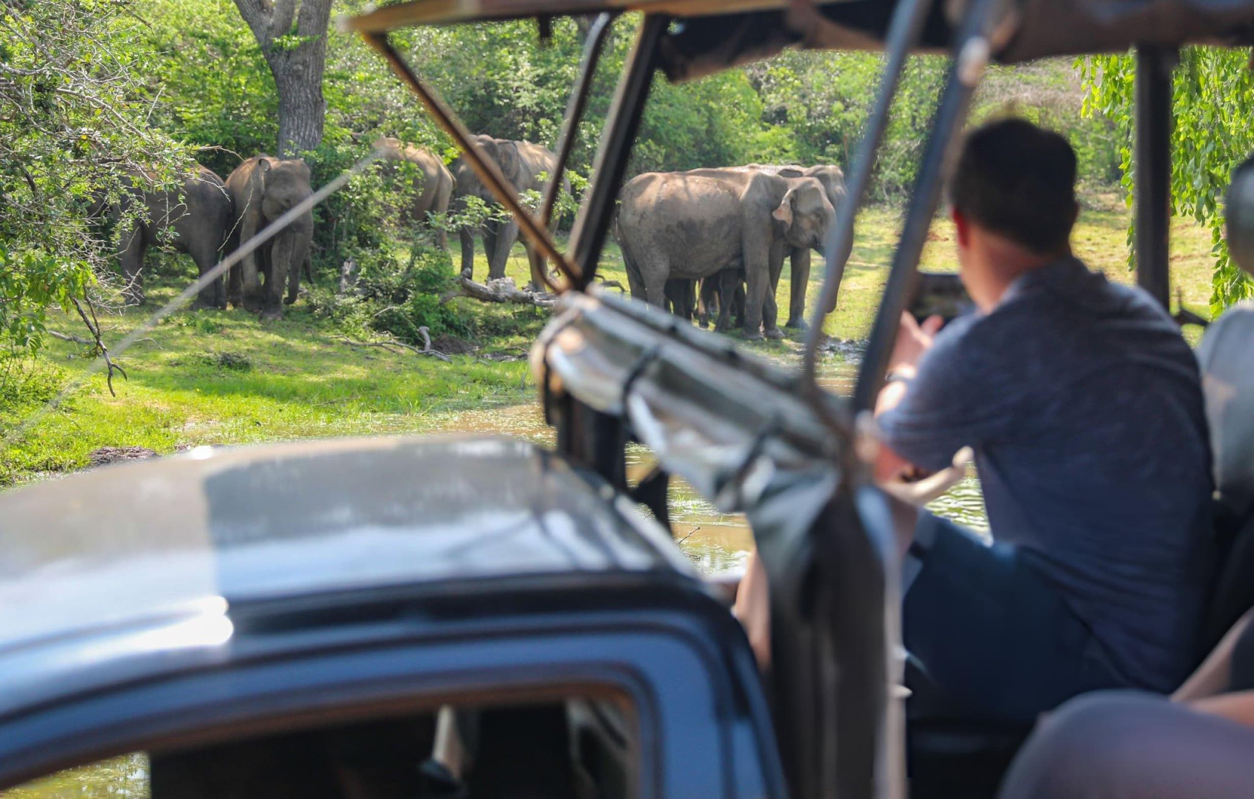 Exclusive Yala National Park Full Day Private Jeep Safari