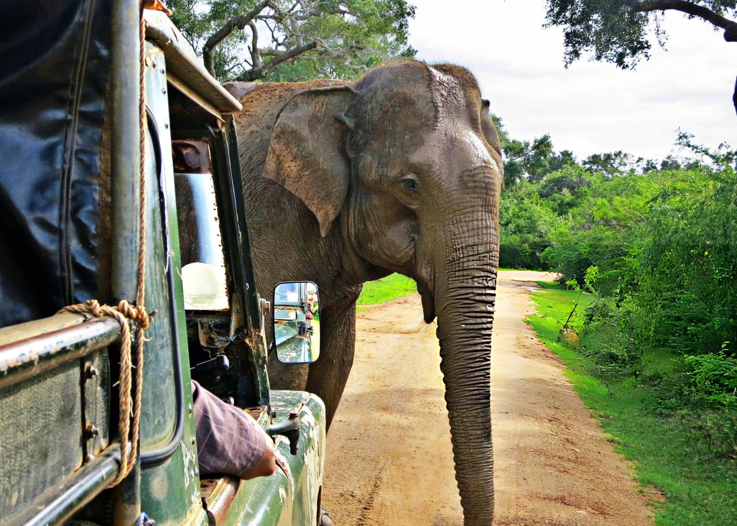 Private jeep entering Yala National Park at dawn