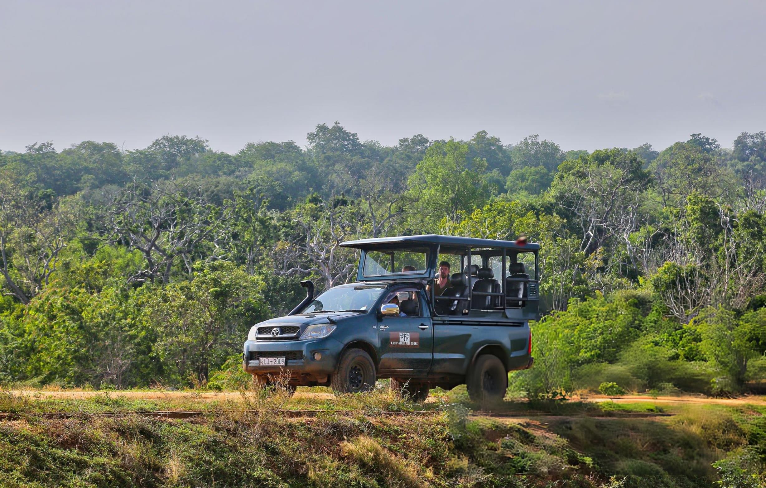 Private Yala National Park Half Day Jeep Safari Sri Lanka