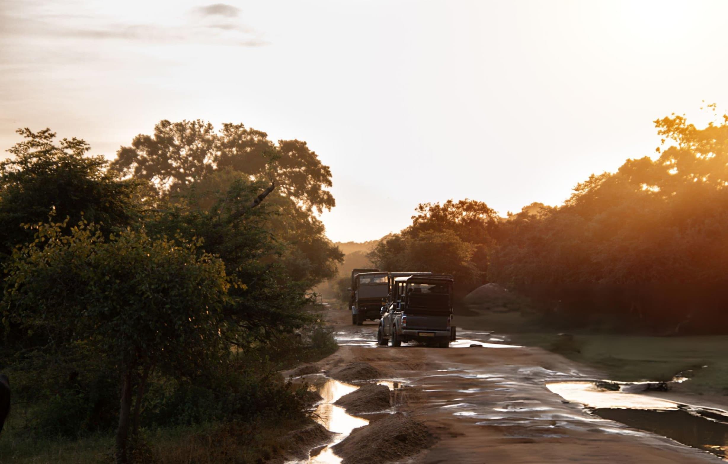 Private Yala National Park Morning Jeep Safari