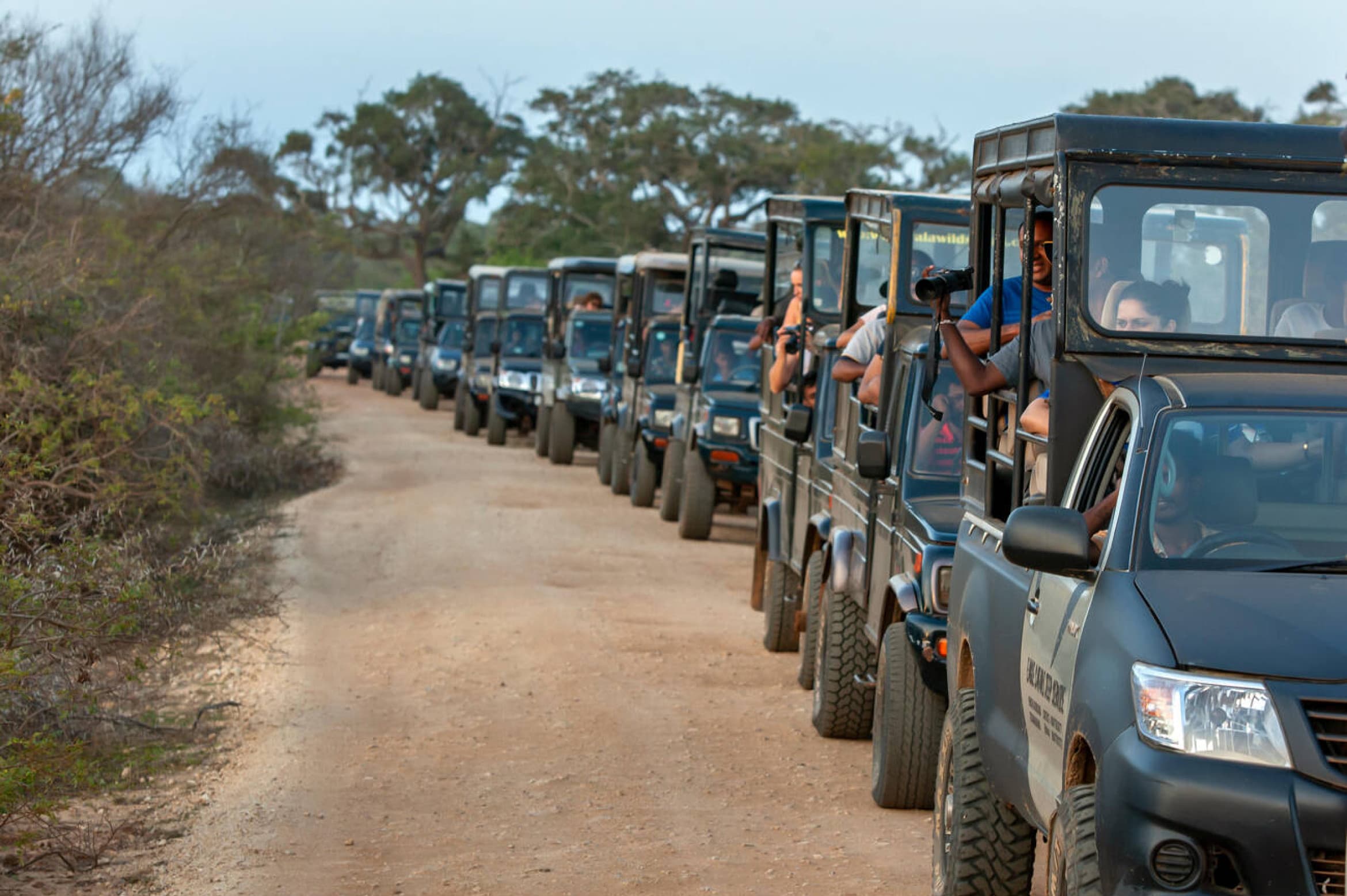 Busy safari season at Yala National Park