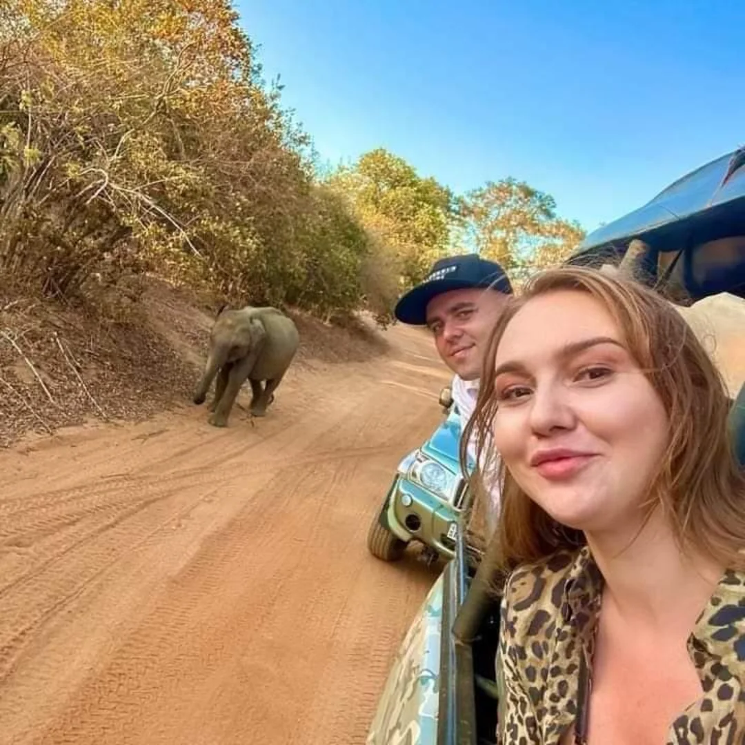 Elephant herd viewed from a private safari jeep at Yala