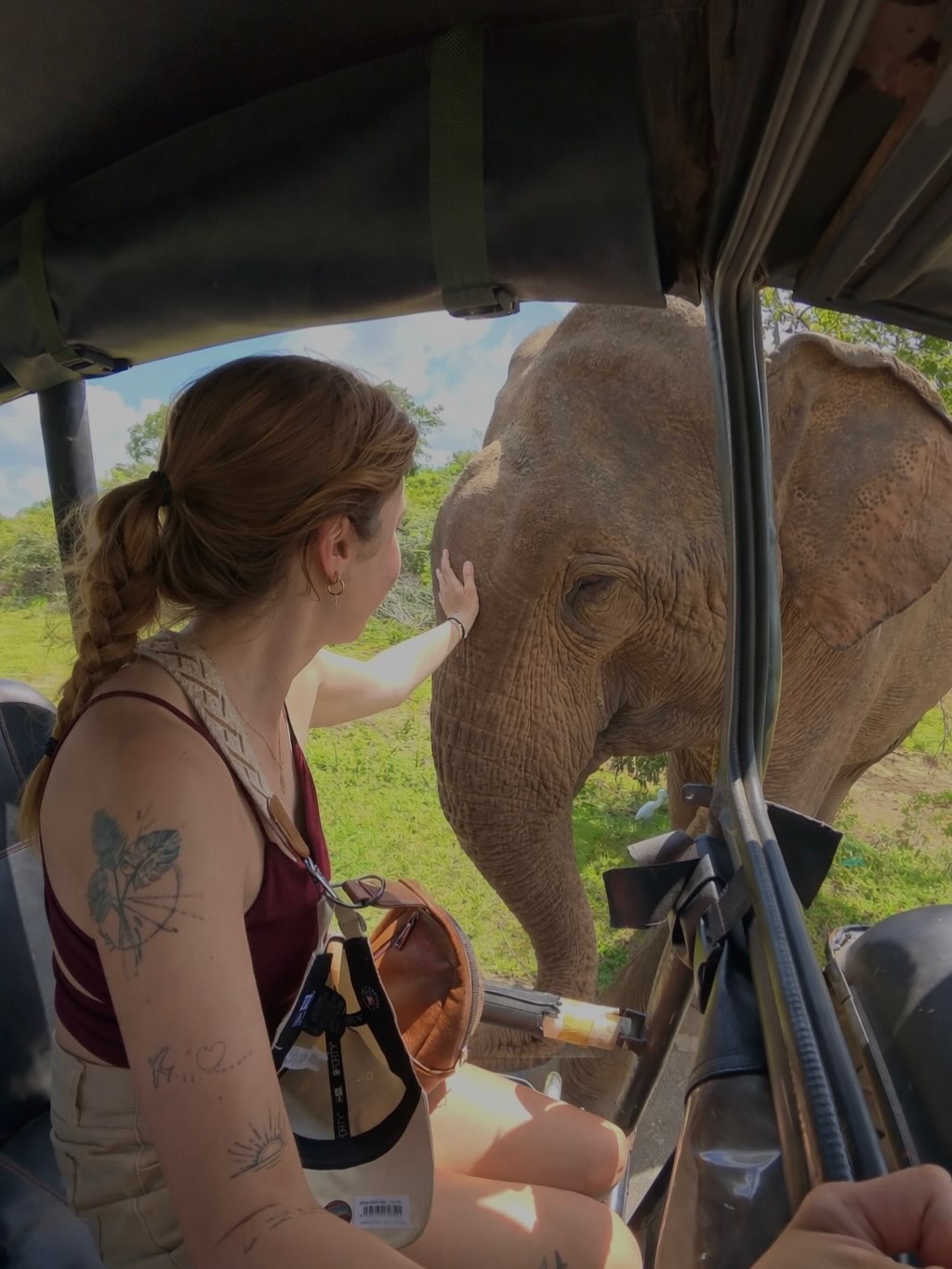 Giant elephant encountered on a Yala morning jeep safari