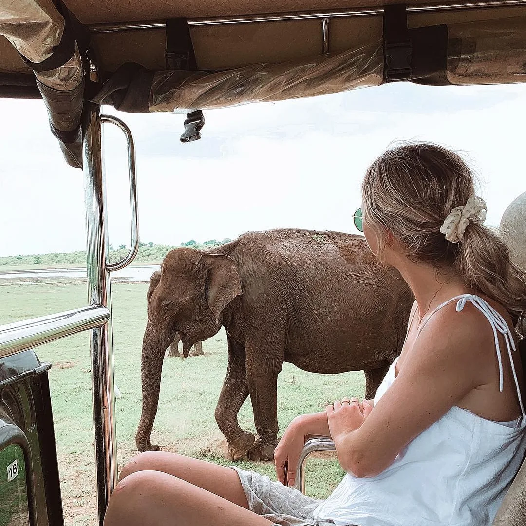 Mugger crocodile along the Menik River at Yala National Park