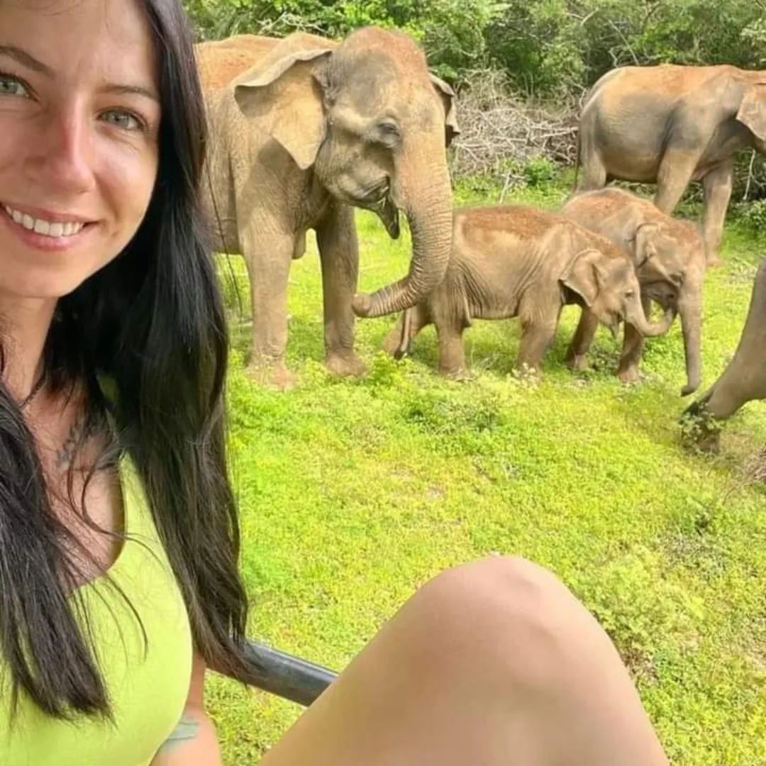Wildlife spotting on a private jeep safari at Yala